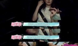 方城爆料小三视频大全,揭秘视频大全背后的真相与争议